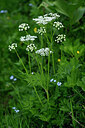 BUITEN BEELD Foto: 446188