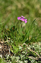 BUITEN BEELD Foto: 446191