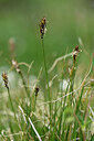 BUITEN BEELD Foto: 446192