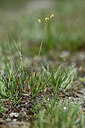 BUITEN BEELD Foto: 446194