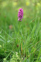 BUITEN BEELD Foto: 446204