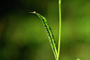 BUITEN BEELD Foto: 446207
