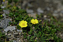BUITEN BEELD Foto: 446216