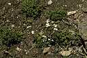 BUITEN BEELD Foto: 446218