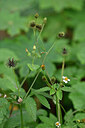 BUITEN BEELD Foto: 446222
