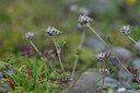 BUITEN BEELD Foto: 446224