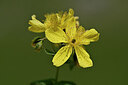 BUITEN BEELD Foto: 446226