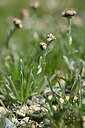 BUITEN BEELD Foto: 446230