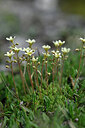 BUITEN BEELD Foto: 446235