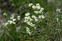 BUITEN BEELD Foto: 446240