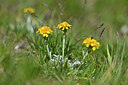 BUITEN BEELD Foto: 446247