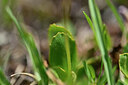 BUITEN BEELD Foto: 446253