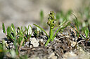BUITEN BEELD Foto: 446256