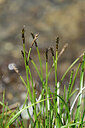 BUITEN BEELD Foto: 446258