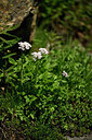 BUITEN BEELD Foto: 446259