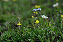 BUITEN BEELD Foto: 446267