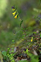BUITEN BEELD Foto: 446269