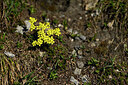 BUITEN BEELD Foto: 446272