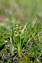 BUITEN BEELD Foto: 446275
