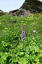 BUITEN BEELD Foto: 446279