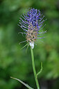 BUITEN BEELD Foto: 446283