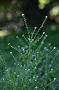 BUITEN BEELD Foto: 446284