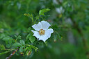 BUITEN BEELD Foto: 446286