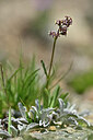 BUITEN BEELD Foto: 446294