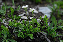 BUITEN BEELD Foto: 446296