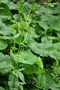 BUITEN BEELD Foto: 446297