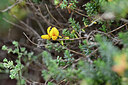 BUITEN BEELD Foto: 446301