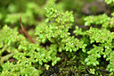 BUITEN BEELD Foto: 446303