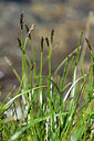 BUITEN BEELD Foto: 446304