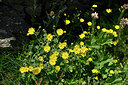 BUITEN BEELD Foto: 446307