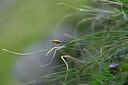 BUITEN BEELD Foto: 446308