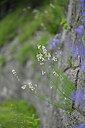 BUITEN BEELD Foto: 446309