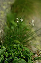 BUITEN BEELD Foto: 446312