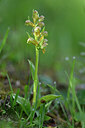 BUITEN BEELD Foto: 446314