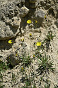 BUITEN BEELD Foto: 446319