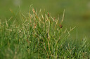 BUITEN BEELD Foto: 446326