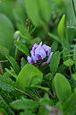 BUITEN BEELD Foto: 446328