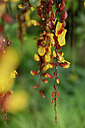 BUITEN BEELD Foto: 446329