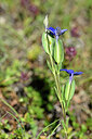 BUITEN BEELD Foto: 446334