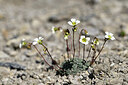 BUITEN BEELD Foto: 446340