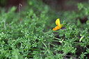 BUITEN BEELD Foto: 446341