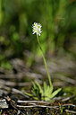 BUITEN BEELD Foto: 446342