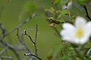 BUITEN BEELD Foto: 446345