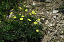 BUITEN BEELD Foto: 446346