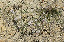 BUITEN BEELD Foto: 446350