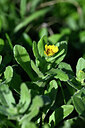 BUITEN BEELD Foto: 446354